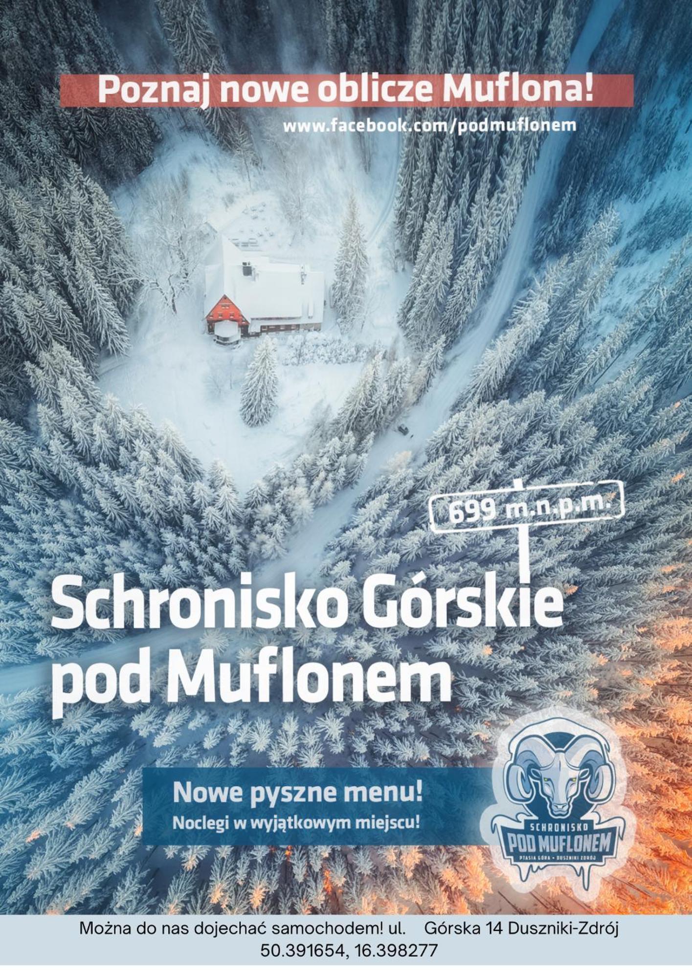 Хостел Schronisko Pttk Pod Muflonem Душники-Здруй Экстерьер фото